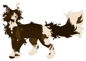 fullbody